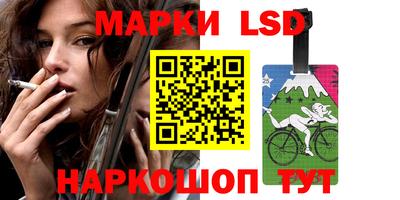 амф Кингисепп