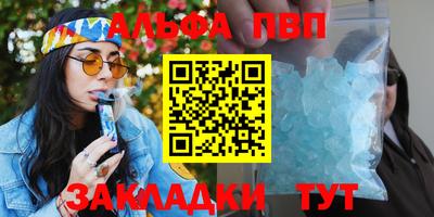 амф Кингисепп