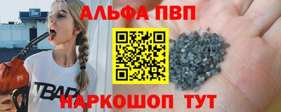 амф Кингисепп