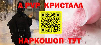 амф Кингисепп