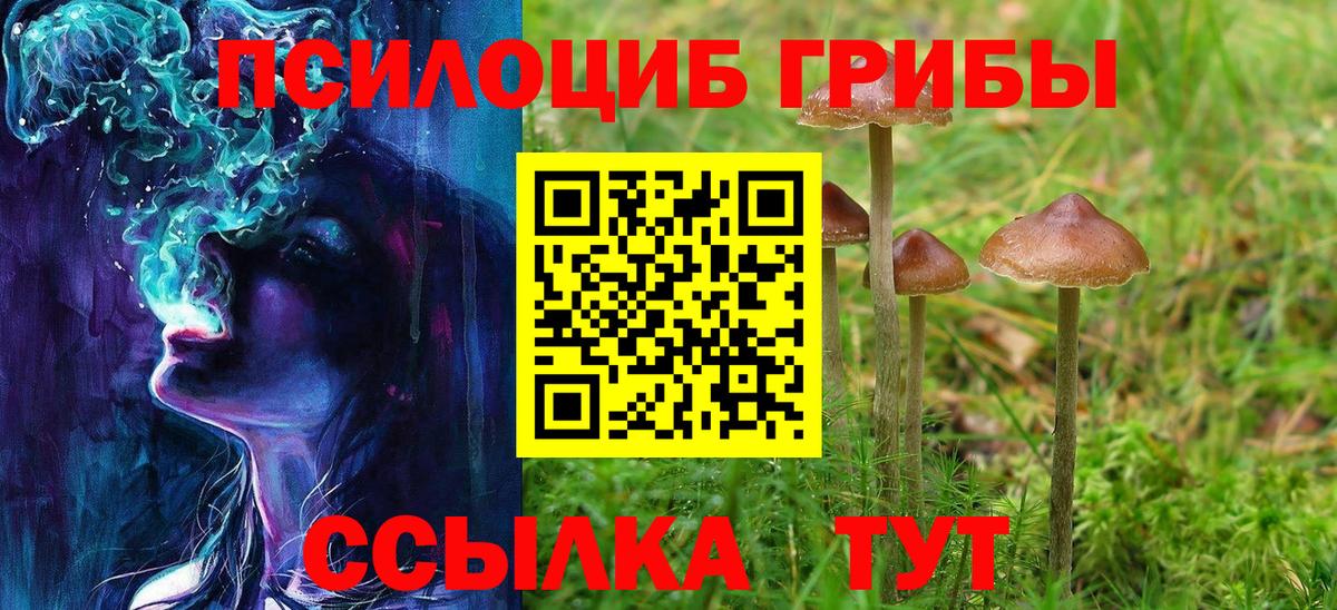 Псилоцибиновые грибы Psilocybe Волжский