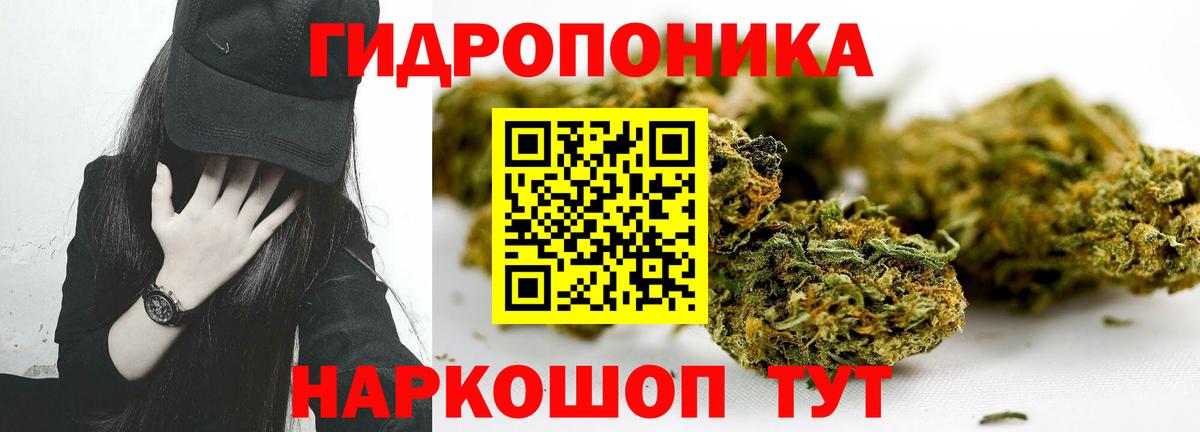 Шишки марихуана ГИДРОПОН  Бошки Шишки SATIVA & INDICA  Каннабис Ganja  Каннабис Bruce Banner  Волжский  Вход с VPN 